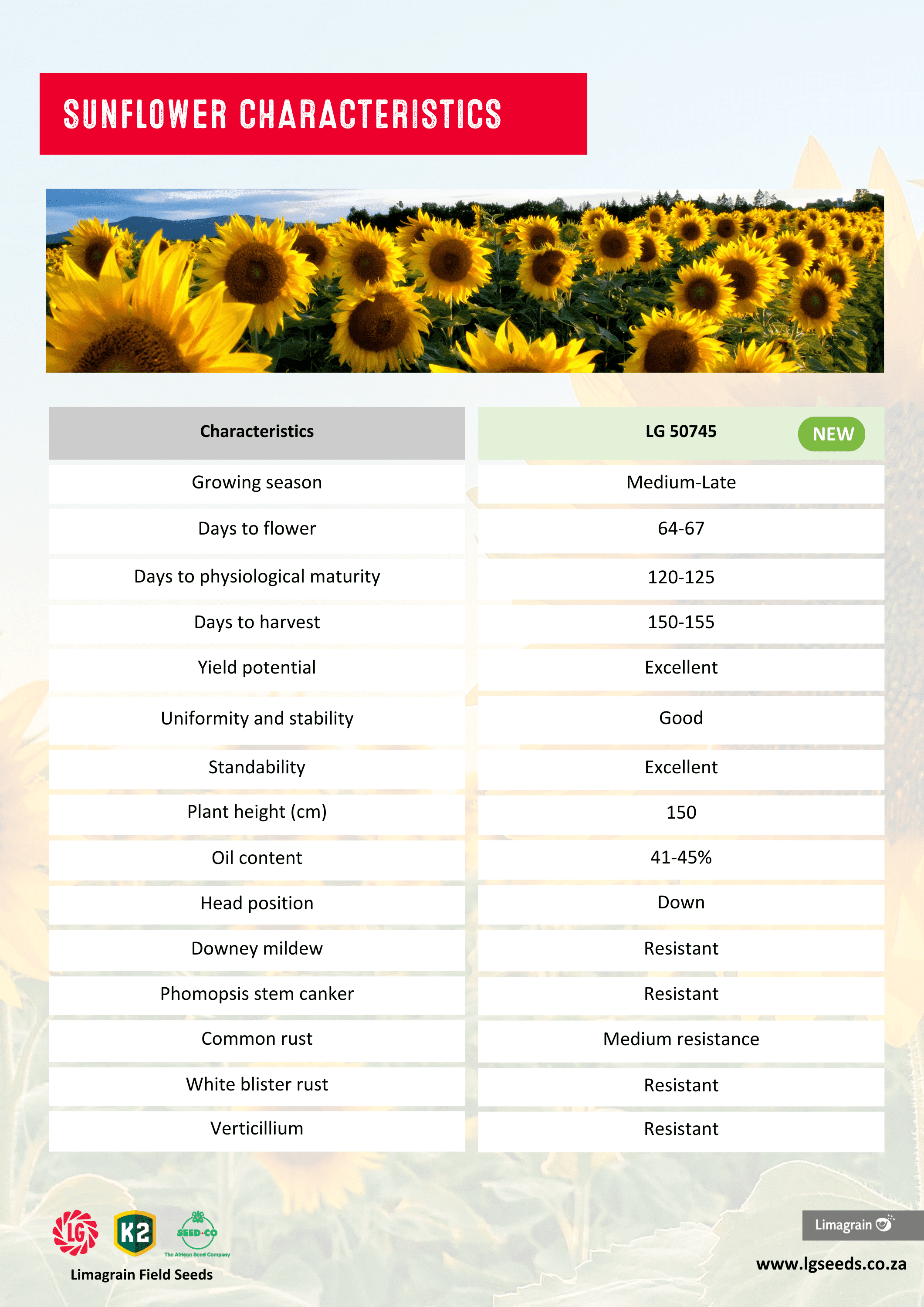 Sunflower Characteristics